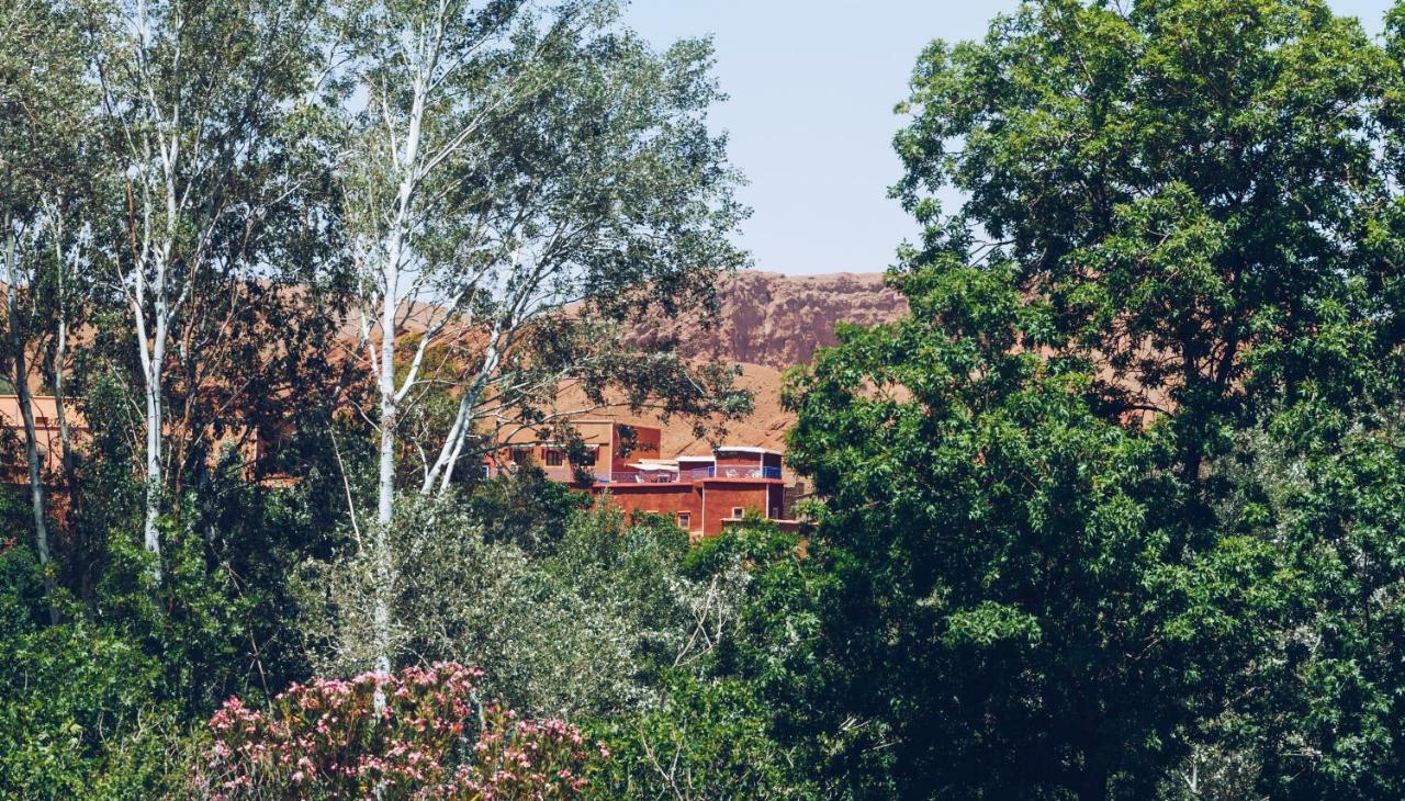 Monkey Fingers House By Fatima Mellal Hotel Tinghir Bagian luar foto